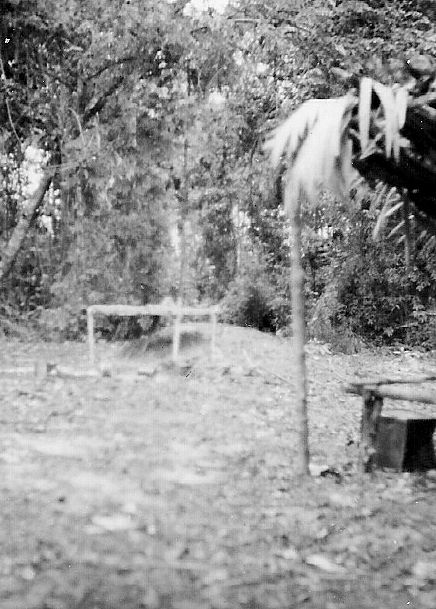 Jungle night shelter